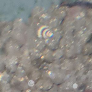 20210218_203246.jpg