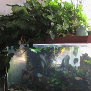 IMG_3458.jpg