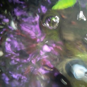 20210211_155622.jpg