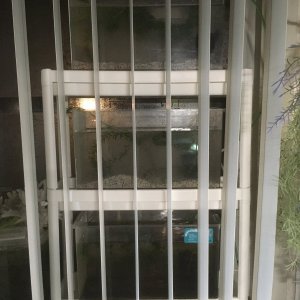 IMG_0702[1].JPG