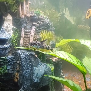 20210227_173959.jpg