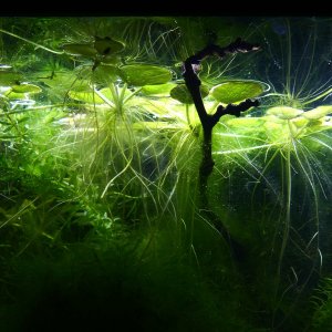 6748A1B6-A3B1-4FEB-B6E9-88FAB3D819CB.jpeg