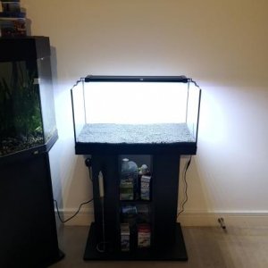newtank.jpg