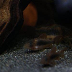 DSCF6314.JPG