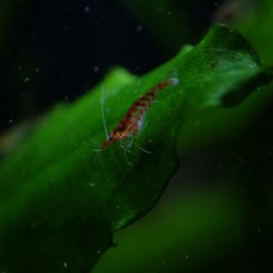 DSCF6474.JPG