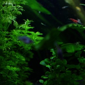 DSCF6559.JPG