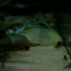 DSCF6332.JPG