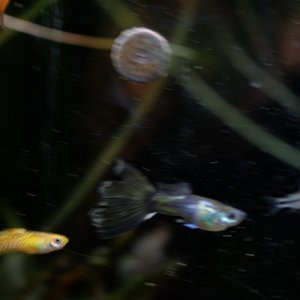 DSCF6607.JPG