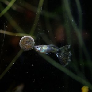 DSCF6659.JPG