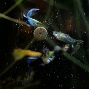 DSCF6681.JPG