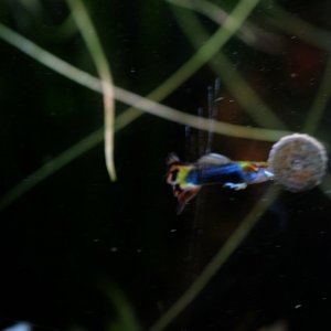 DSCF6618.JPG