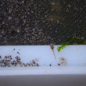 DSCF4660.JPG