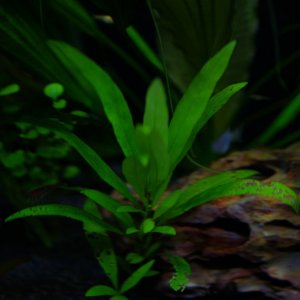 DSCF5598.JPG