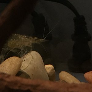 IMG_5779.jpg