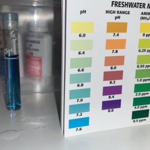 pH.JPG