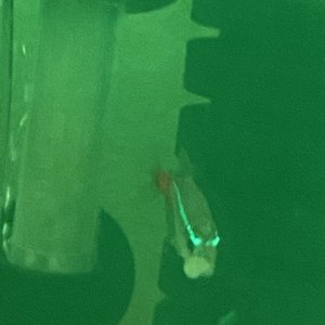 0581D005-9F73-46A7-BEAE-109EEC34656B.jpeg