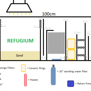 Sump Design.png