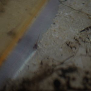 DSCF6961.JPG