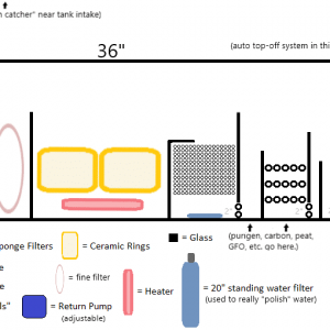 Sump Design 2.png