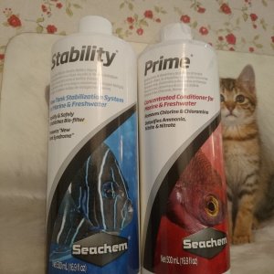 DSC_0116.JPG
