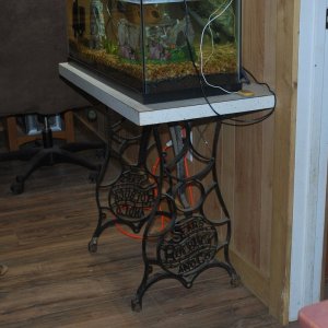 Betta Max's aquarium stand 20L 4-9-21.jpg