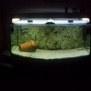 20201103_150942.jpg