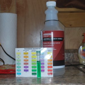 ammonia bottle with test tube.jpg