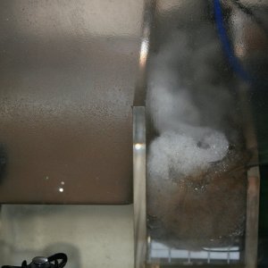 IMG_3844.jpeg