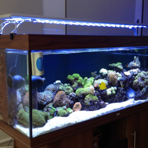 Best-LED-Aquarium-Lighting.png