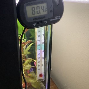 8D2F0786-24C5-4985-8EF3-A1C90AA3CCDF.jpeg