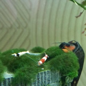 20150427_130021.jpg