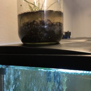 jar 2.jpeg