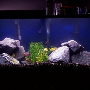 90g_may21.jpg