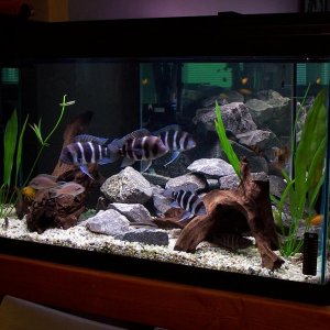 50g_may22.jpg
