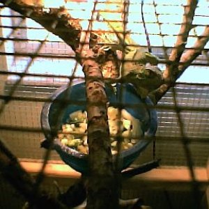 wai..eating001.jpg