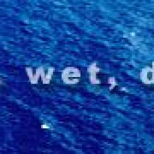 banner.jpg