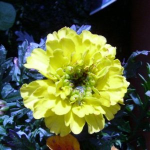 S4200022.JPG