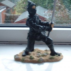my_ninja.JPG