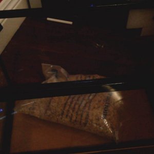 IMG_20210517_184636.jpg