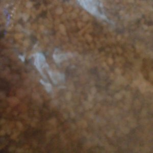 IMG_20210517_184740.jpg