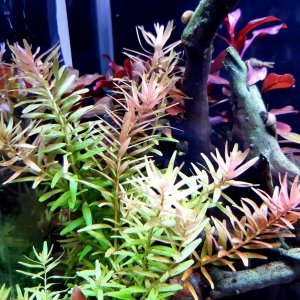rsz_20210530_094612.jpg