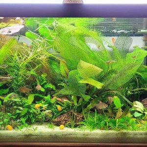 40b_dec_29_2020.jpg