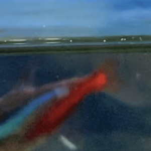 2A92931D-E699-4B9D-A3FA-247070DBBA03.png