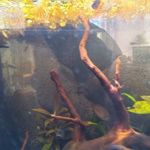 20210625_174916.jpg