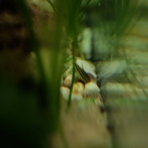 DSCF7409.JPG