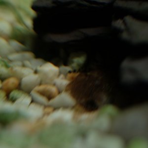 DSCF7416.JPG