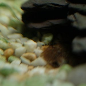 DSCF7415.JPG