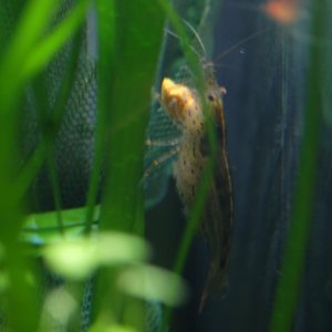 DSCF7352.JPG