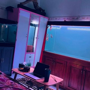 aquarium-tank-sizes-and-weights.jpg