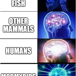 1625095592986.png